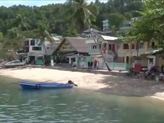 Buck laukinis movs sabang paplūdimys puerto galera filipininai